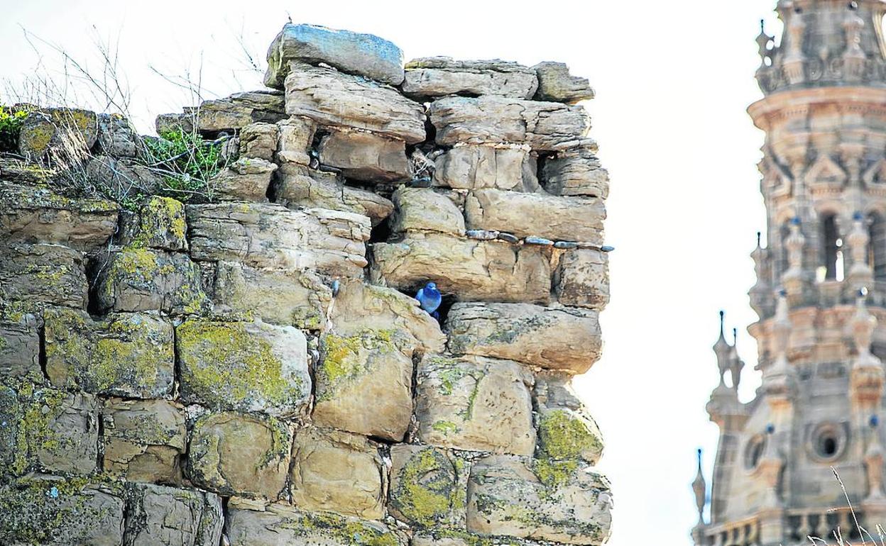 Vista parcial de la parte superior de un torreón de la muralla, en la que se puede apreciar el deterioro de la piedra. 