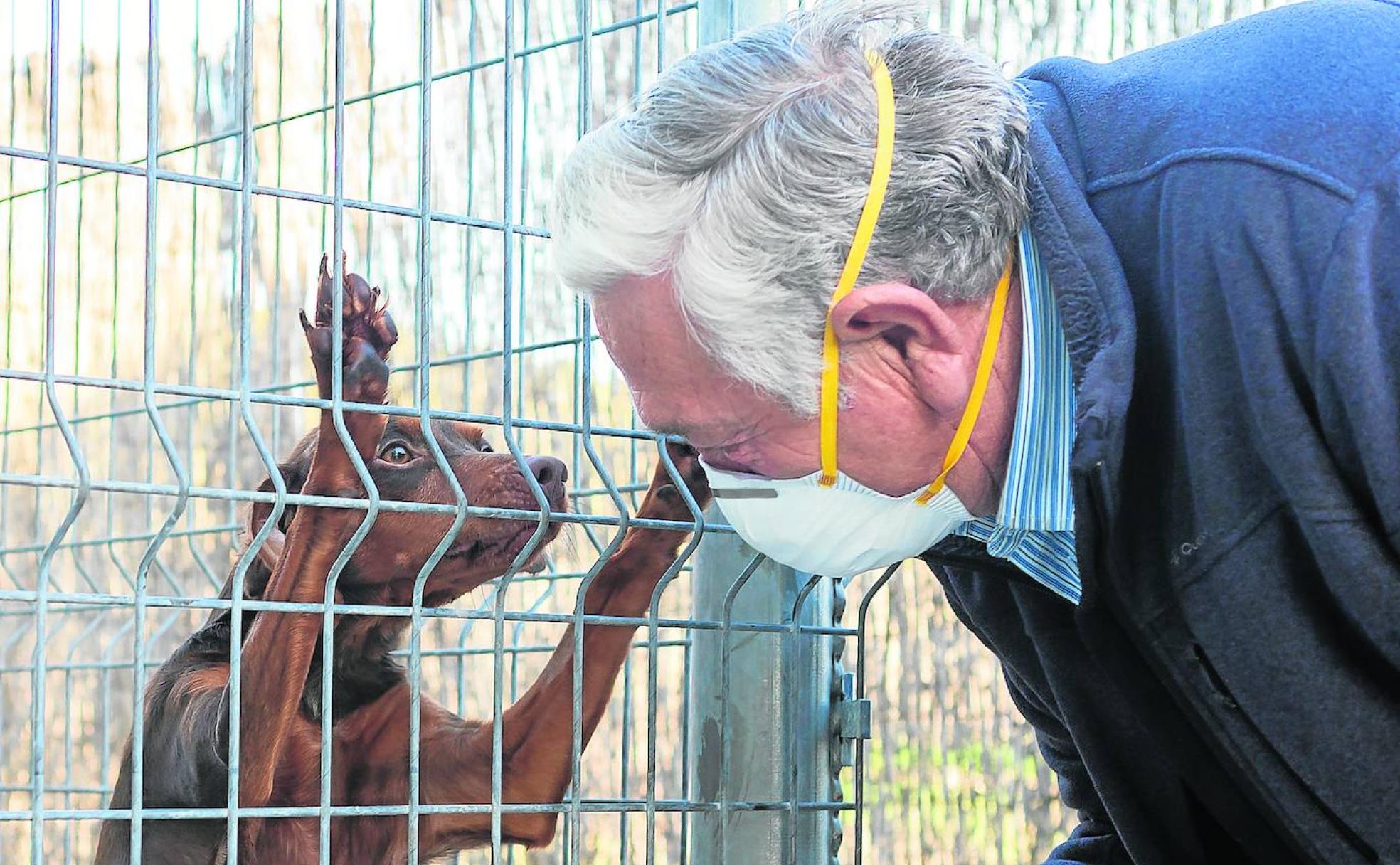 Linda y Desiderio se reencontraron después de muchos meses y, sí, se reconocieron pese a que la perrita tenía un año cuando desapareció. 