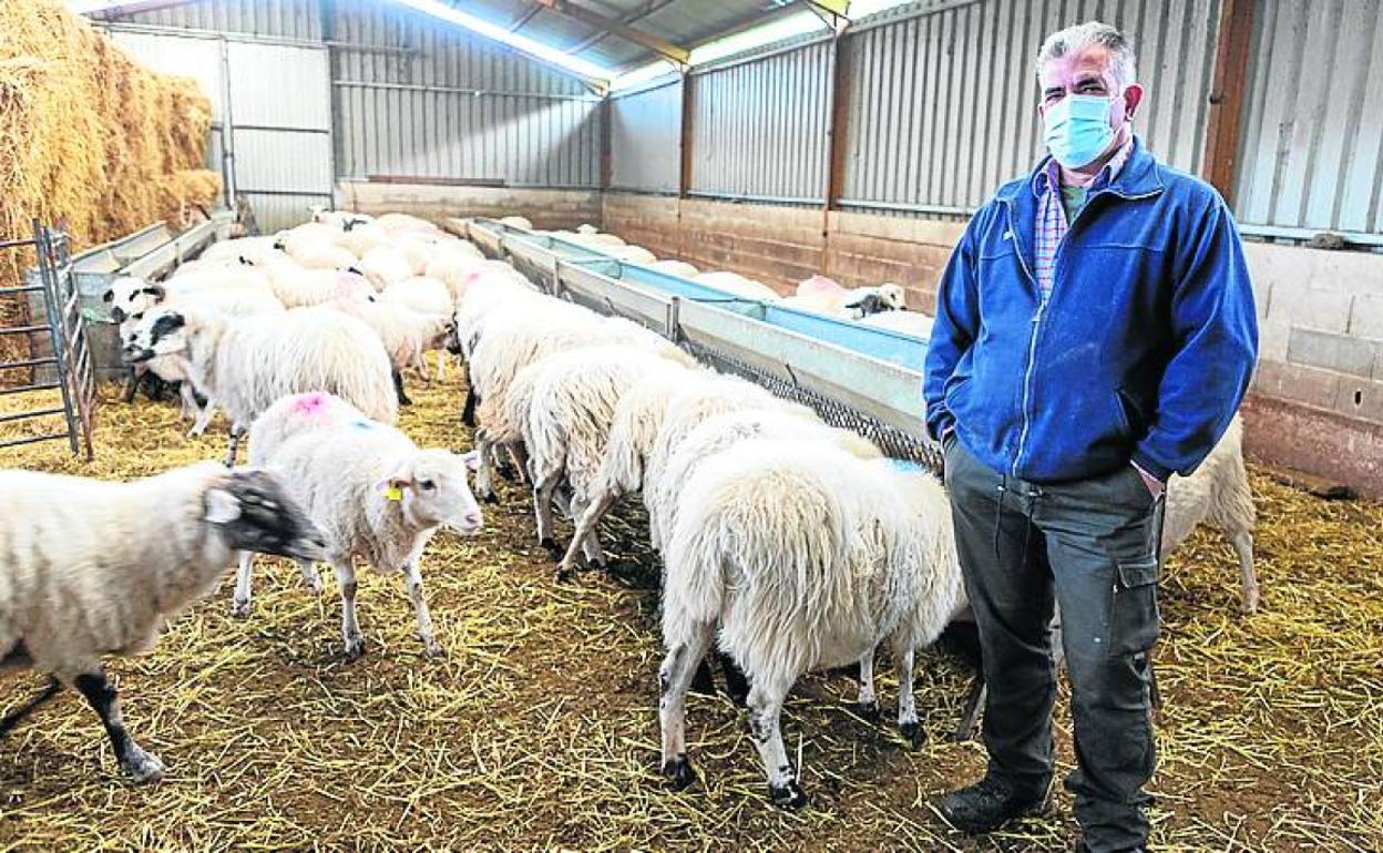 Pedro Medel posa con las ovejas del rebaño familiar en Mansilla