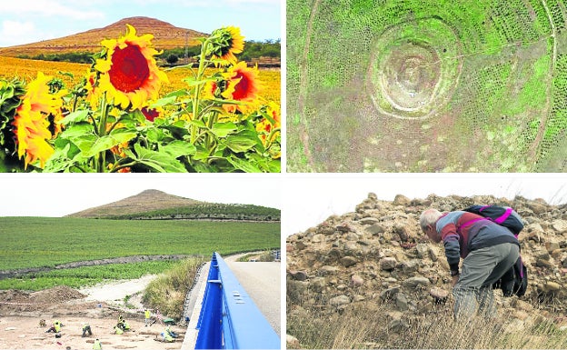 El cerro, al fondo de un campo de girasoles. A su derecha, vista aérea del mismo, con sus círculos alrededor del lugar sobre el que se levantaba la fortificación. Abajo, excavación arqueológica del yacimiento 'La Magdalena' y un caminante examina los restos de la empalizada defensiva..