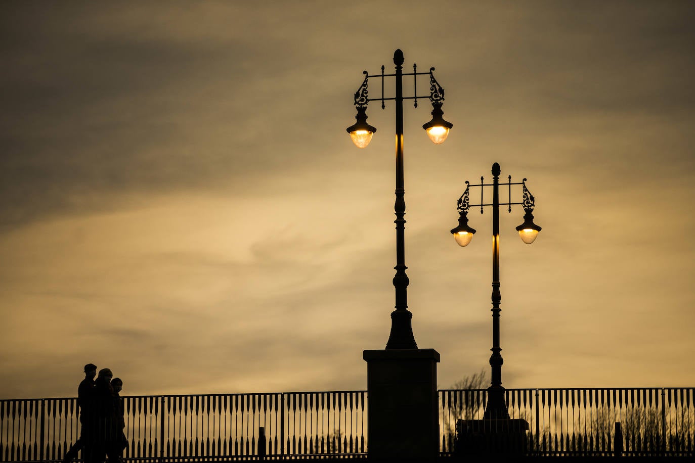 Además de las 16 farolas, esta noche se ha podido apreciar, y los logroñeses han inmortalizado este momento, las luces de colores en los ojos de la infraestructura