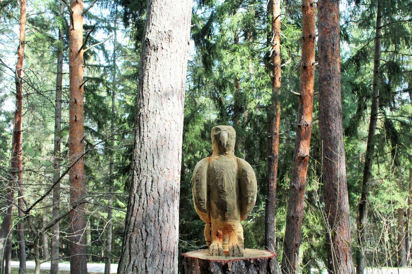 El espacio natural de Almarza de Cameros, repleto de bosques y senderos, flora y fauna, cuenta con nuevos alicientes para ser visitado