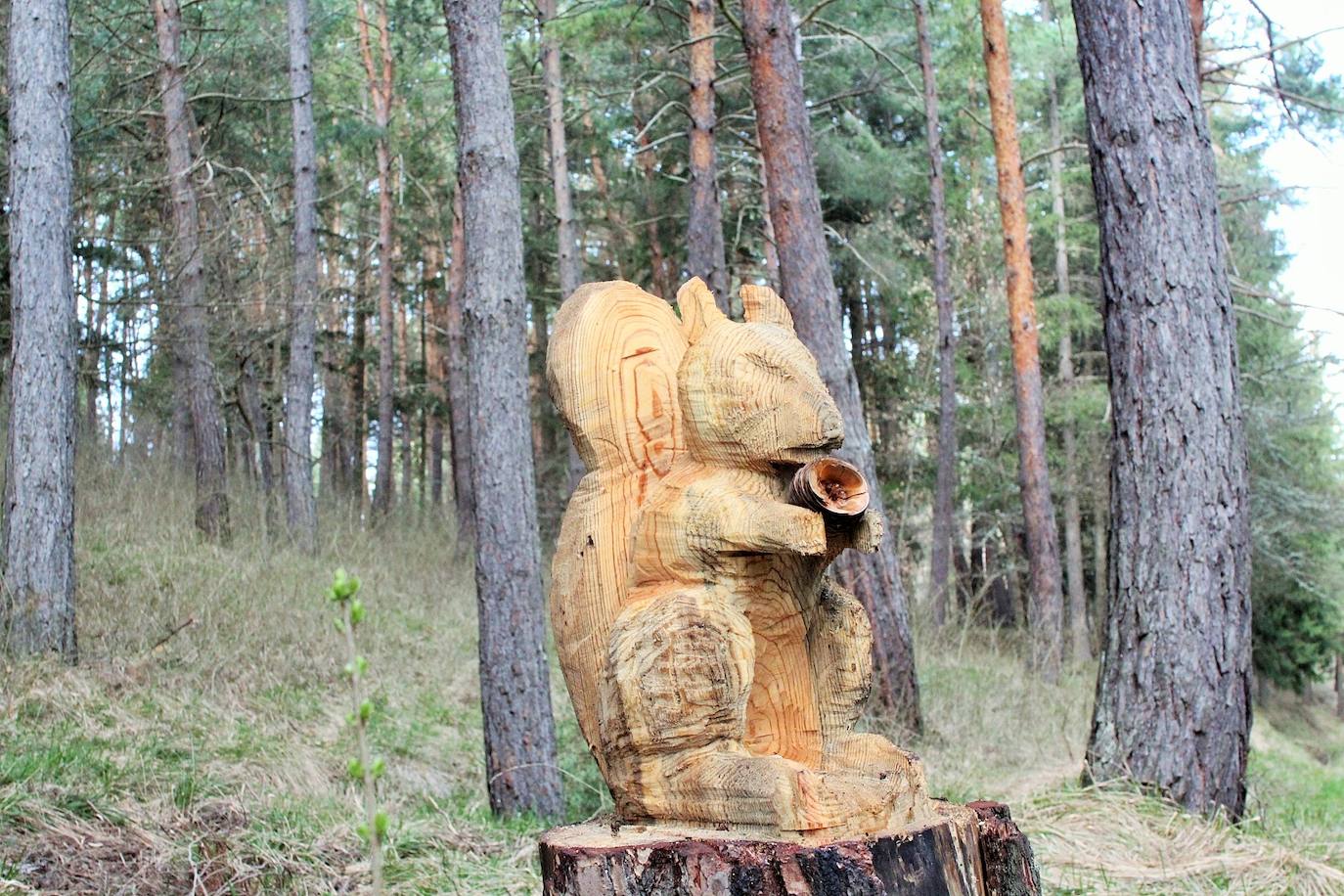 El espacio natural de Almarza de Cameros, repleto de bosques y senderos, flora y fauna, cuenta con nuevos alicientes para ser visitado