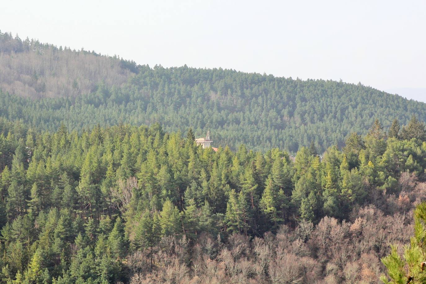 El espacio natural de Almarza de Cameros, repleto de bosques y senderos, flora y fauna, cuenta con nuevos alicientes para ser visitado