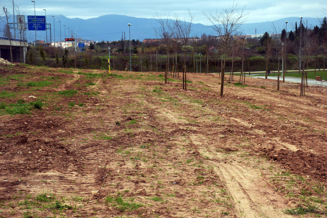 El Gobierno local pide paciencia para el desarrollo de la controvertida zona boscosa junto a la N-111 y, si sigue sin gustar, estudiará posibles mejoras