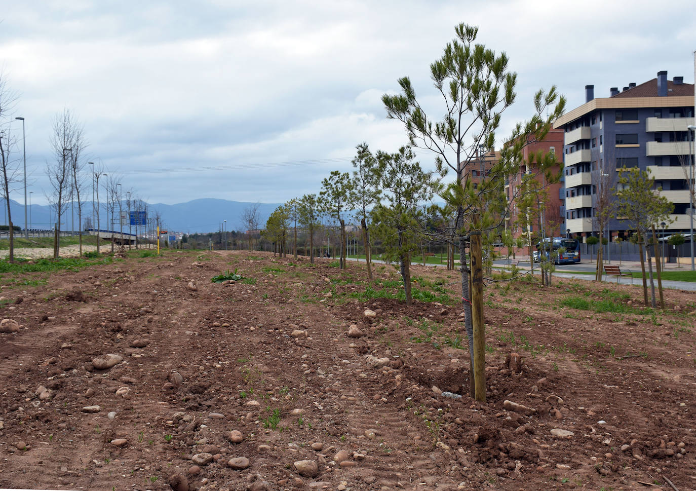 El Gobierno local pide paciencia para el desarrollo de la controvertida zona boscosa junto a la N-111 y, si sigue sin gustar, estudiará posibles mejoras