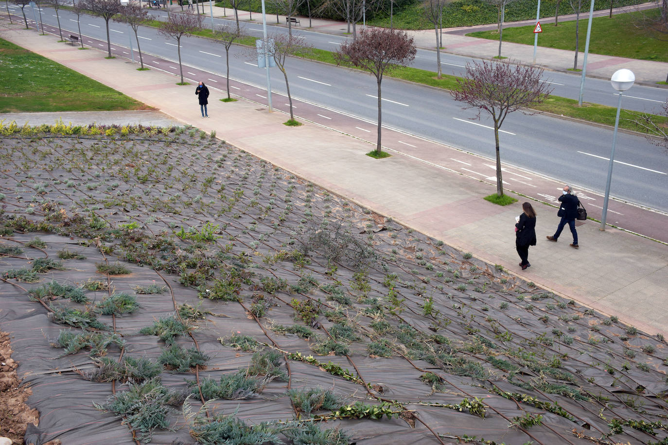 El Gobierno local pide paciencia para el desarrollo de la controvertida zona boscosa junto a la N-111 y, si sigue sin gustar, estudiará posibles mejoras