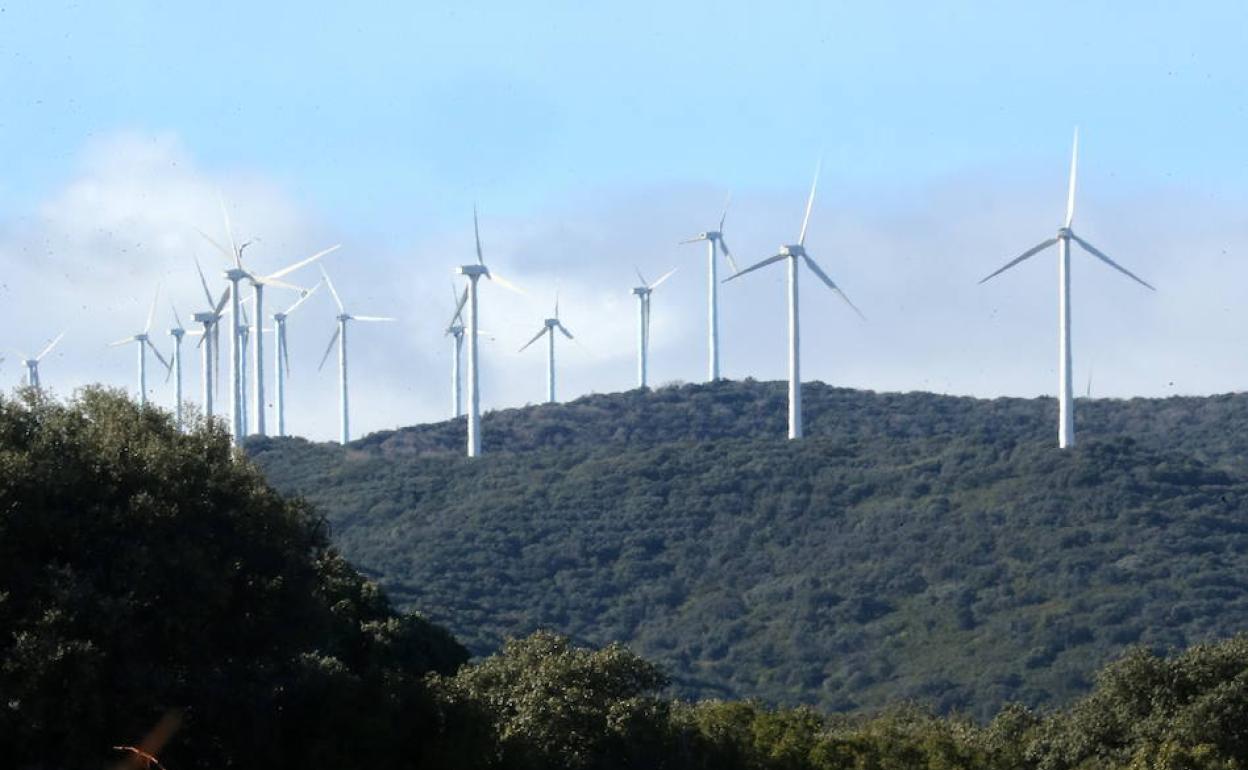 Ecologistas en Acción, en contra del parque eólico Ausejo-Ocón