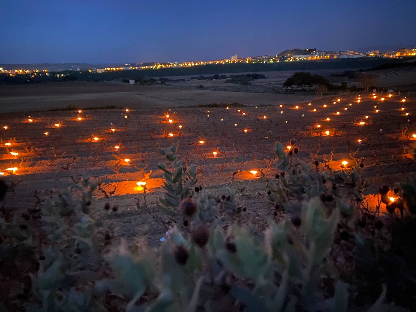 Velas en Cuba Negra. Bodegas Tierra (Labastida) recurrió a las hogueras para salvar la parcela de su vino El Belisario. De momento, pocos daños.