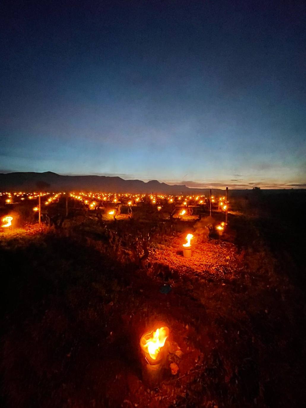 Velas de fuego en Bodegas Tierra, paja ardiendo entre los viñedos Artuke, tratamientos preventivos en Exopto..., espectaculares imágenes de una noche larga que, parece, se salva sin apenas daños