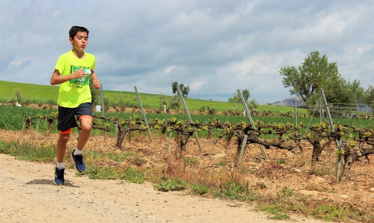 El corredor local Raúl Pérez Cortés, entre viñas durante la carrera. 