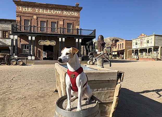 En el parque temático 'Mini Hollywood' (Almería). 