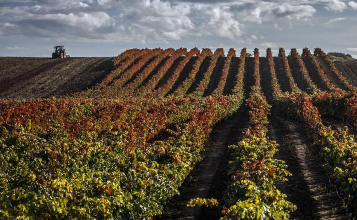 Navarra Suma insta al Gobierno foral a «rechazar la división de la DOC Rioja»