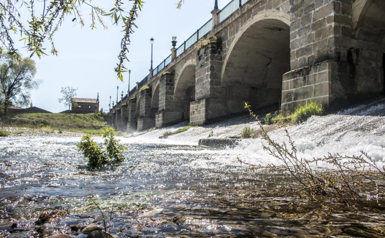 El río Oja vuelve a recargarse a su paso por Santo Domingo