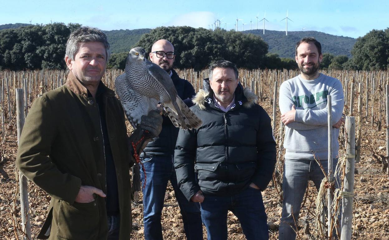 Urbanismo deniega el parque eólico de Aldeanueva, uno de los 9 planeados en La Rioja Baja