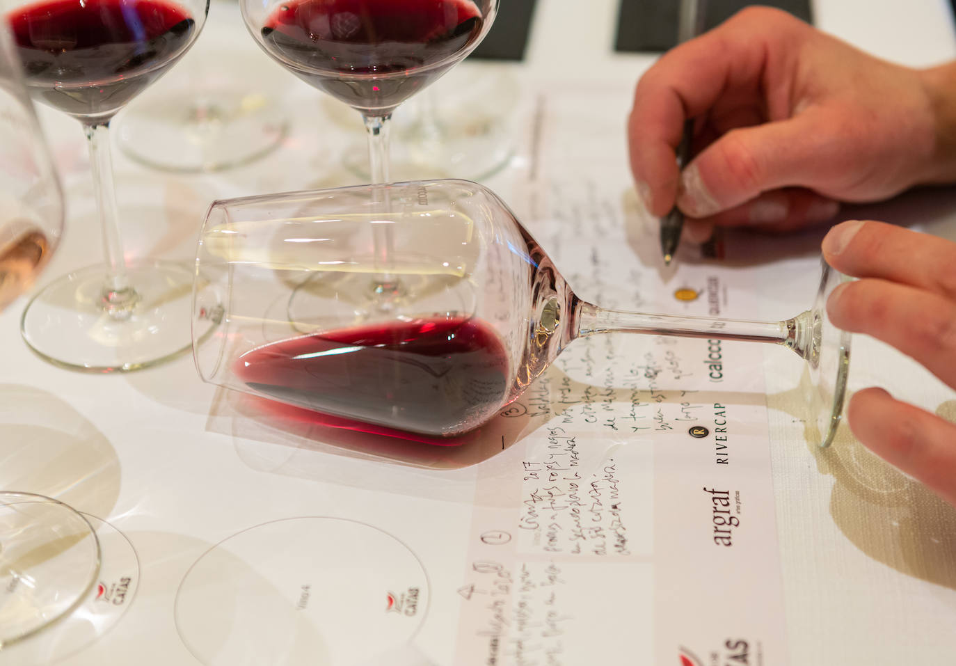 Bodegas Valdelacierva presentó anoche en los salones del Restaurante Delicatto la colección casi completa de sus elaboraciones de Rioja para el club de catas de lomejordelvinoderioja.com