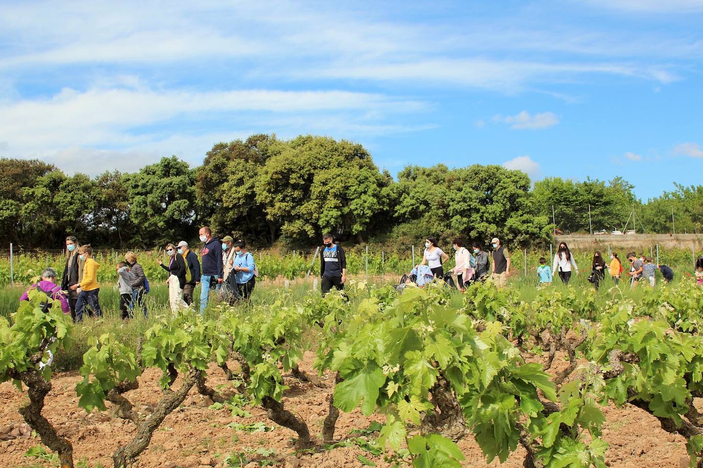 Fotos: Entrena celebra el Día de la Biodiversidad