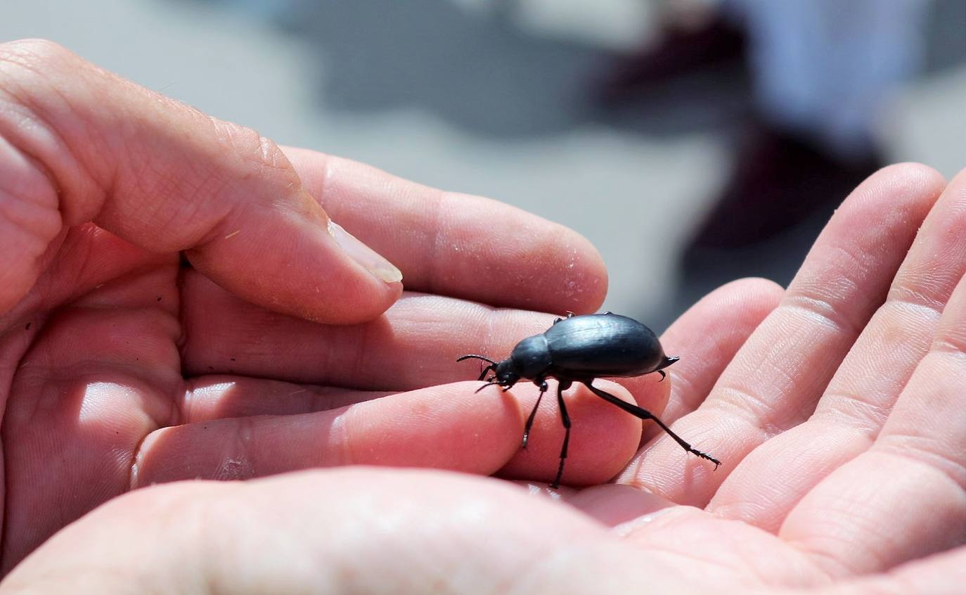 Fotos: Entrena celebra el Día de la Biodiversidad