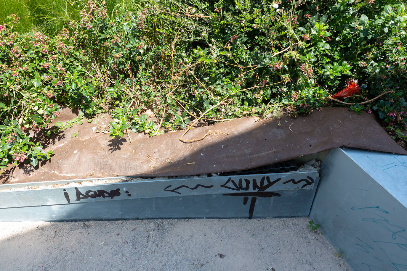 Fotos: Vandalismo en el parque Felipe VI