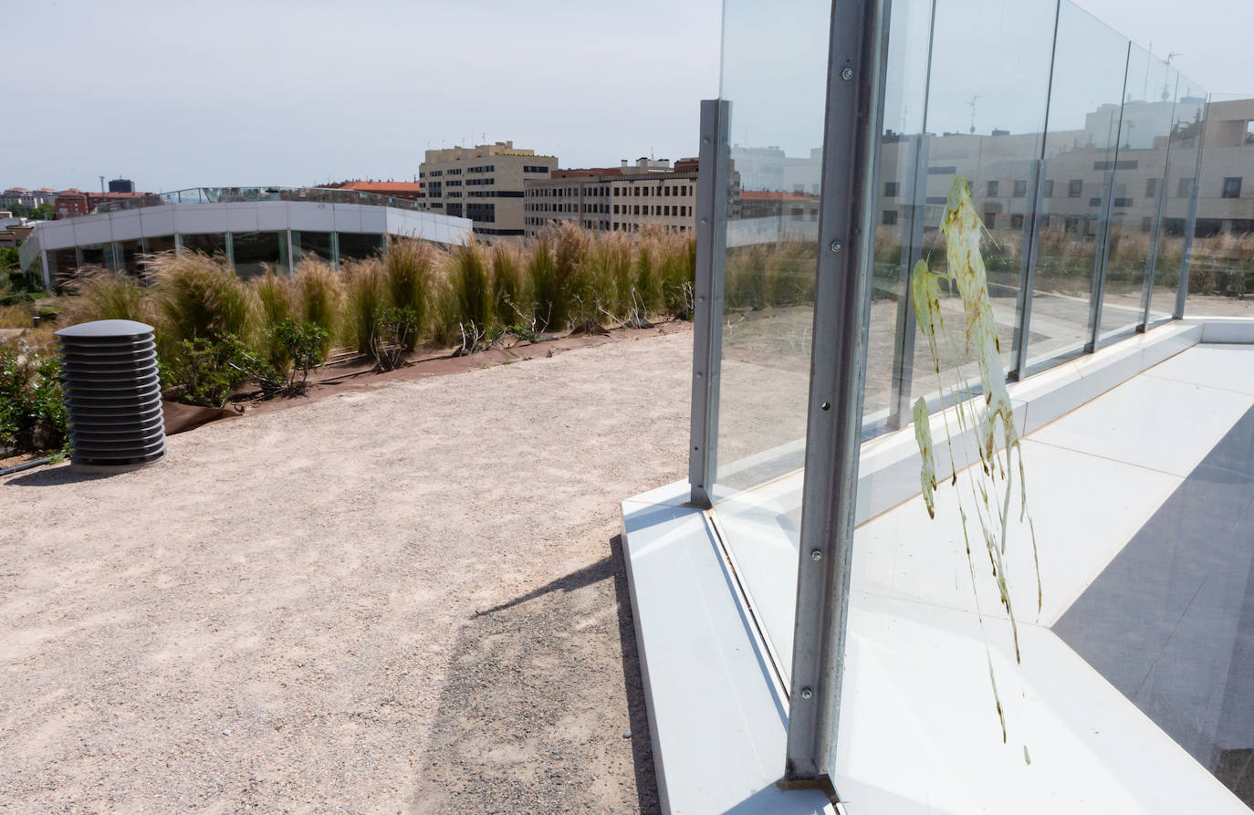 Fotos: Vandalismo en el parque Felipe VI