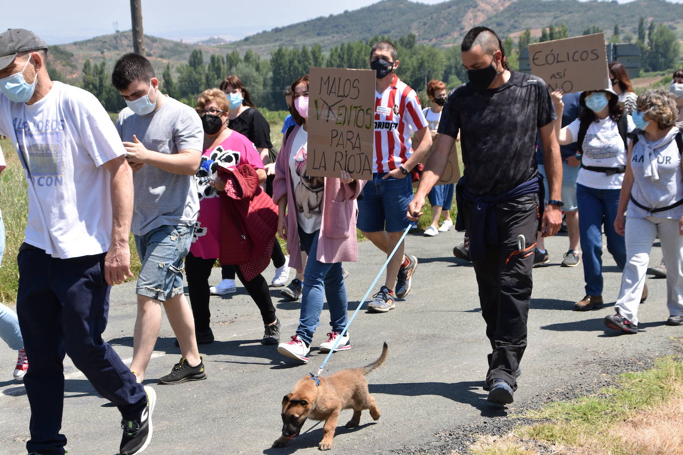 Fotos: Marcha contra los &#039;gigantes&#039; en el valle de Ocón