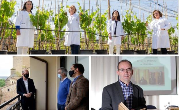 Medallas de La Rioja: Fundación Dialnet y el grupo de investigación Gesvin, integrado en el Instituto de las Ciencias de la Vid y el Vino (ICVV)