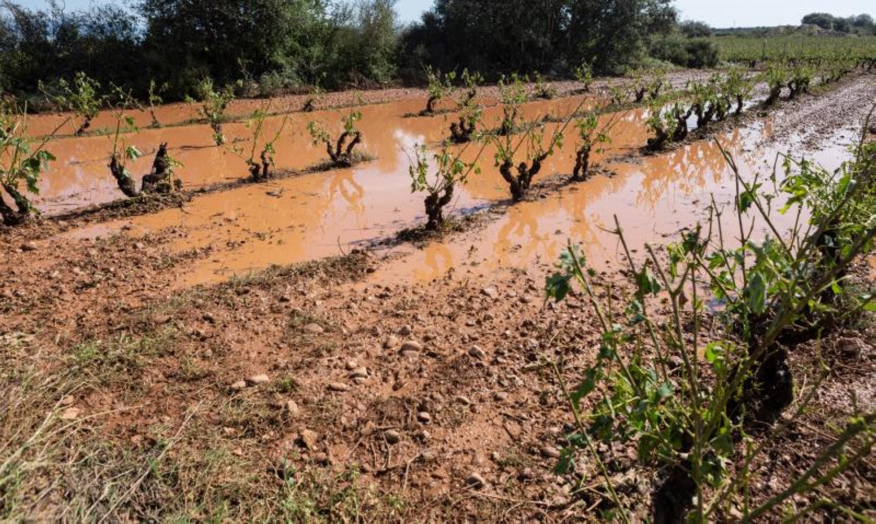 Después de la tormenta, continúa la angustia