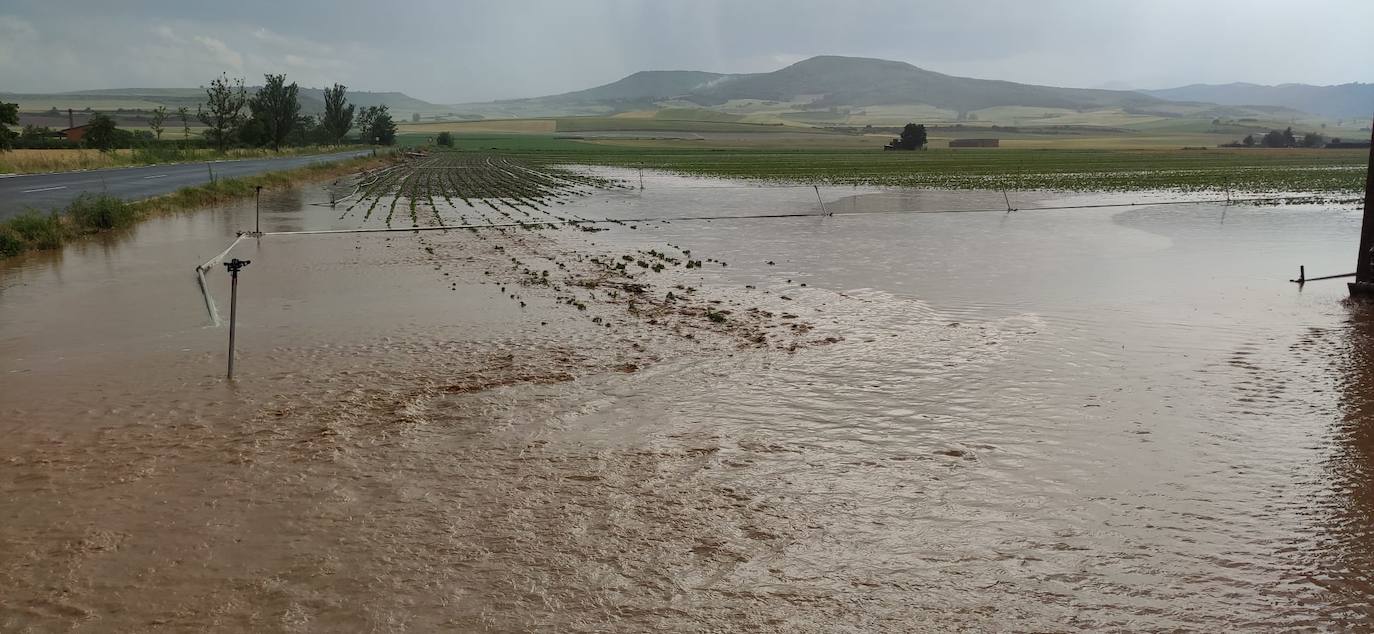 Fotos: Vuelven las tormentas a La Rioja, el granizo cae en Santo Domingo