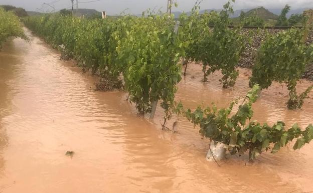 Imagen principal - Vecinos de El Cortijo reclaman ayudas ante los daños causados por las tormentas