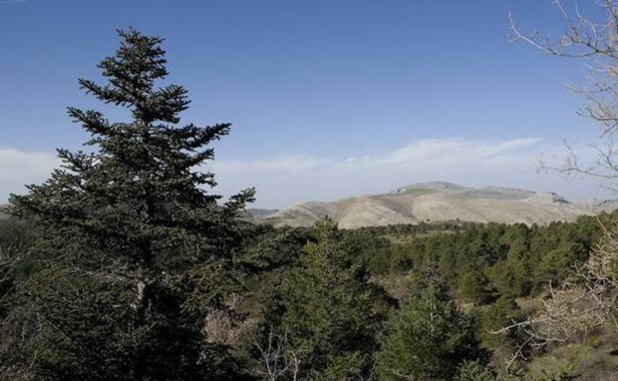 Imagen de archivo del nuevo Parque Nacional Sierra de las Nieves.