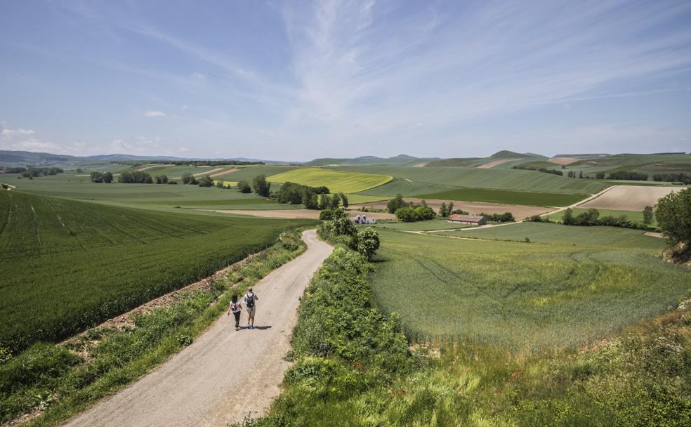 Concha Andreu desciende desde Grañón junto a Toño del Río hacia el lugar del Camino donde La Rioja y Burgos se dan la mano.