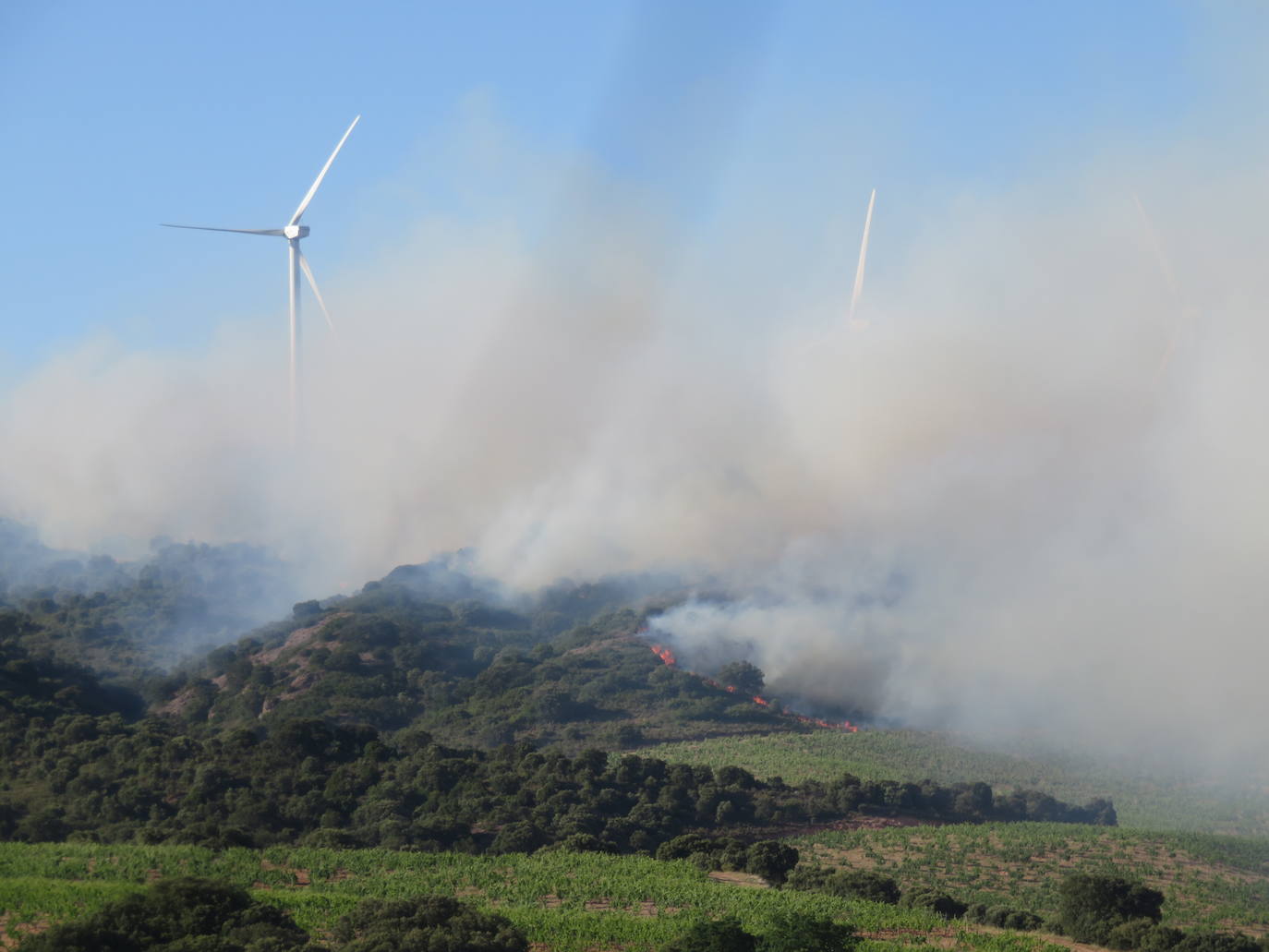 Fotos: El incendio de Yerga