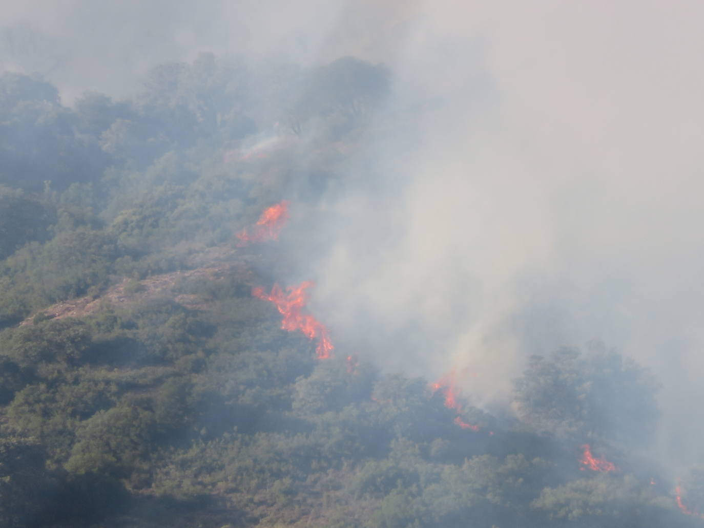 Fotos: El incendio de Yerga