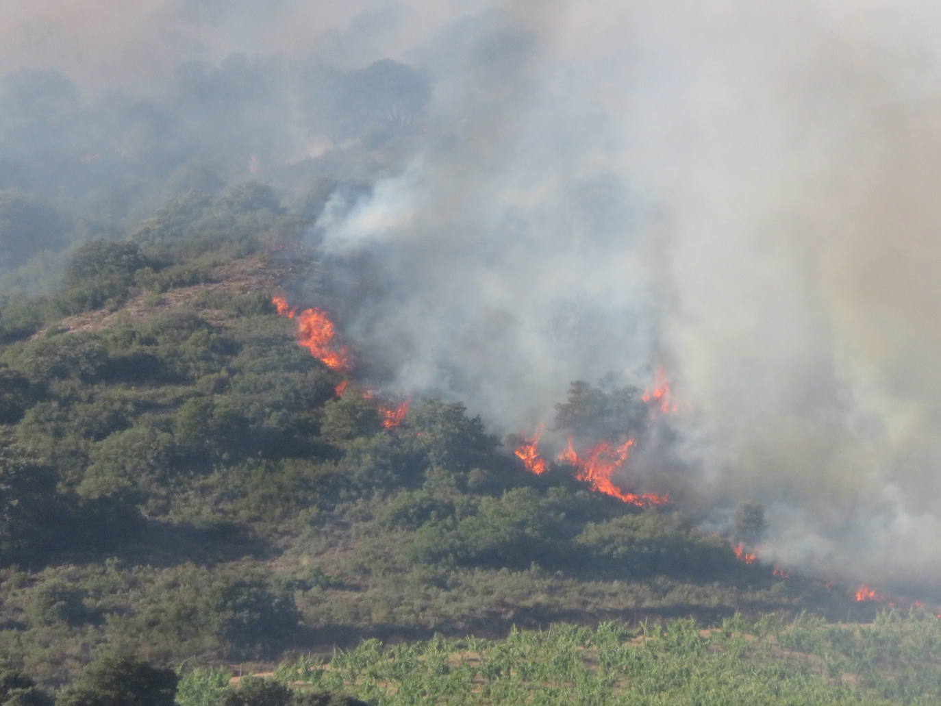 Fotos: El incendio de Yerga