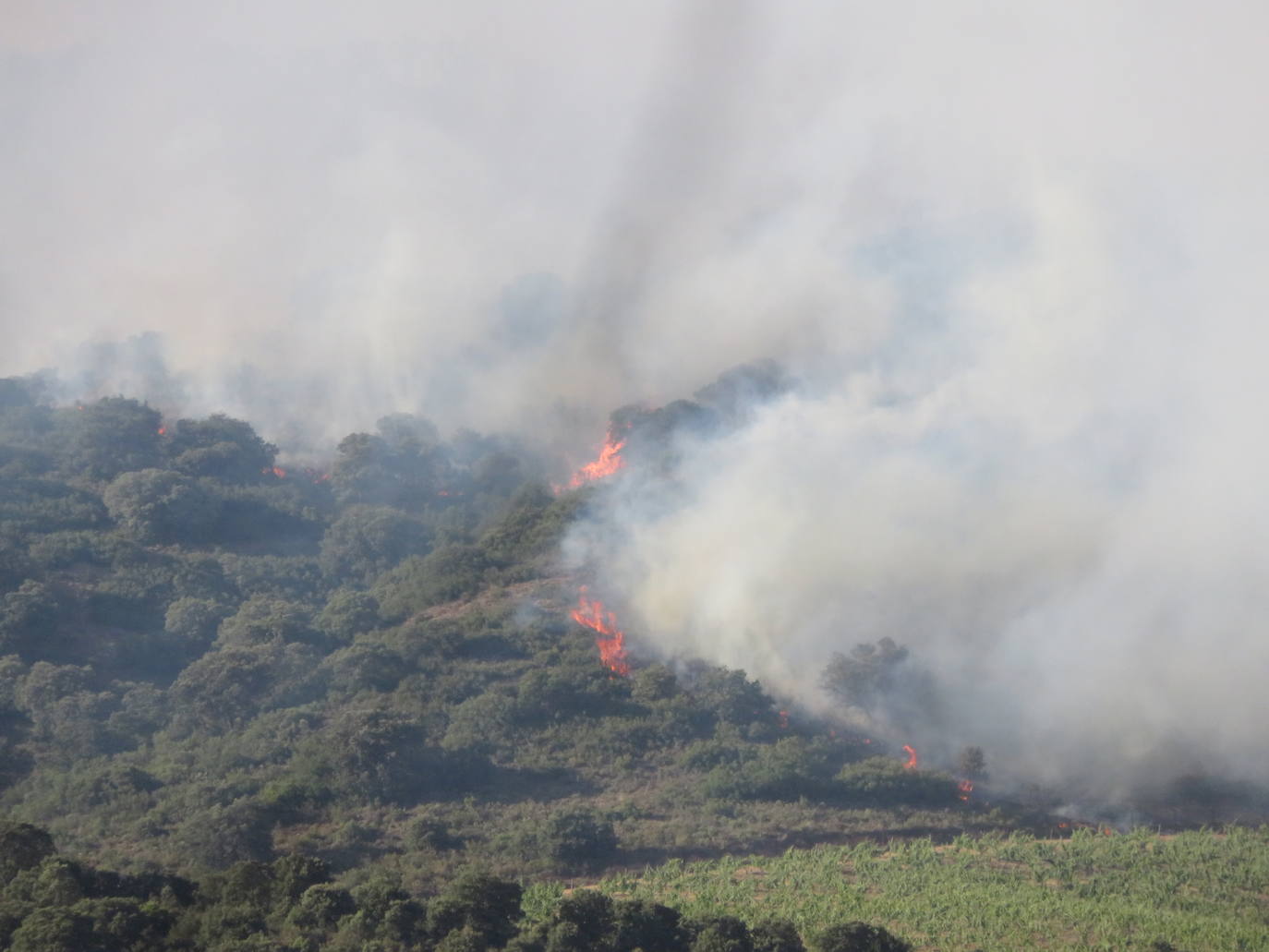 Fotos: El incendio de Yerga