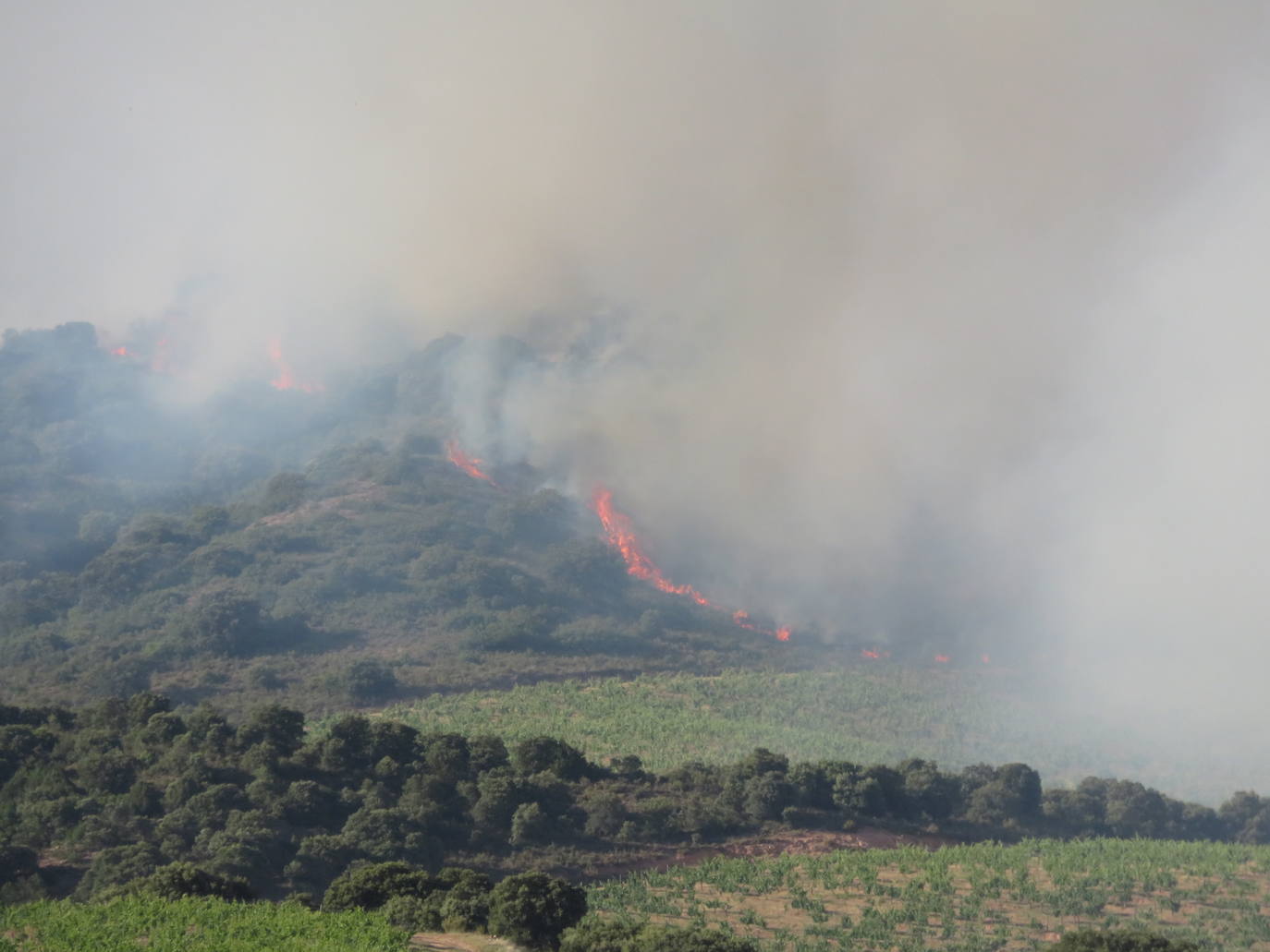 Fotos: El incendio de Yerga