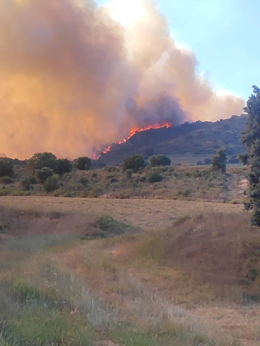 Incendio en Yerga: una columna que se ve desde kilómetros