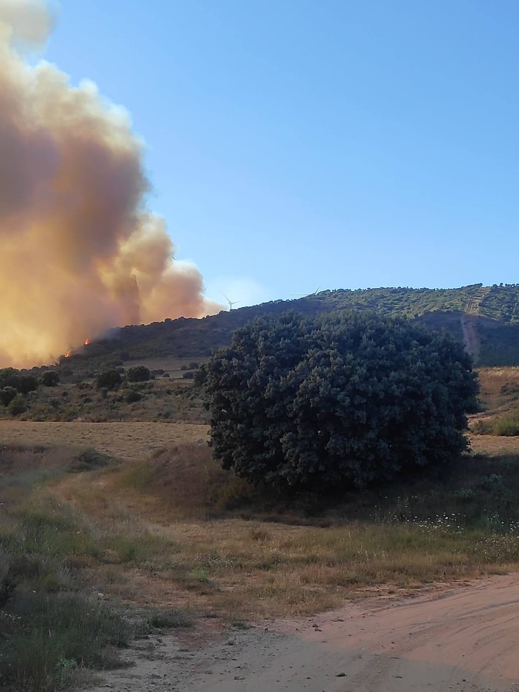 Incendio en Yerga: una columna que se ve desde kilómetros