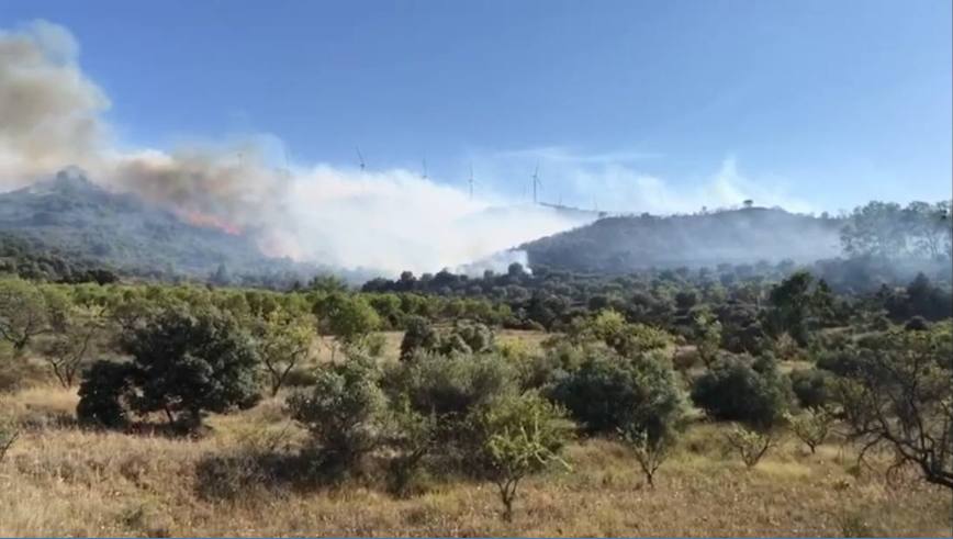 Incendio en Yerga: una columna que se ve desde kilómetros