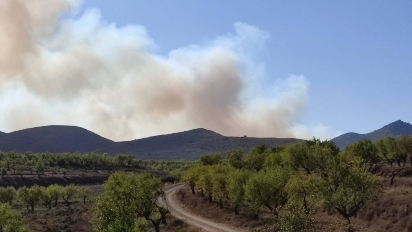 Incendio en Yerga: una columna que se ve desde kilómetros