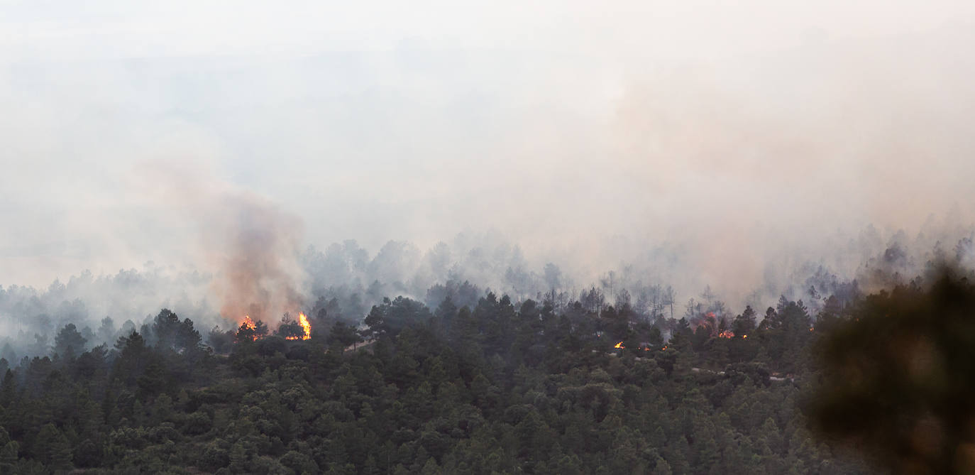 Fotos: La Rioja pide el despliegue de varios helicópteros, aviones e hidroaviones para la extinción del incendio en el Yerga