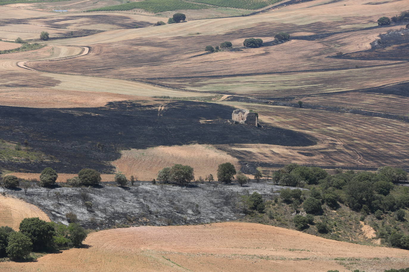 Fotos: La lucha contra el fuego, también el lunes