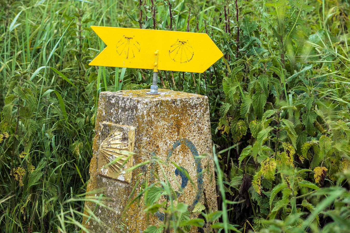 Fotos: Tercera etapa del Camino de Santiago: de Santo Domingo a Grañón