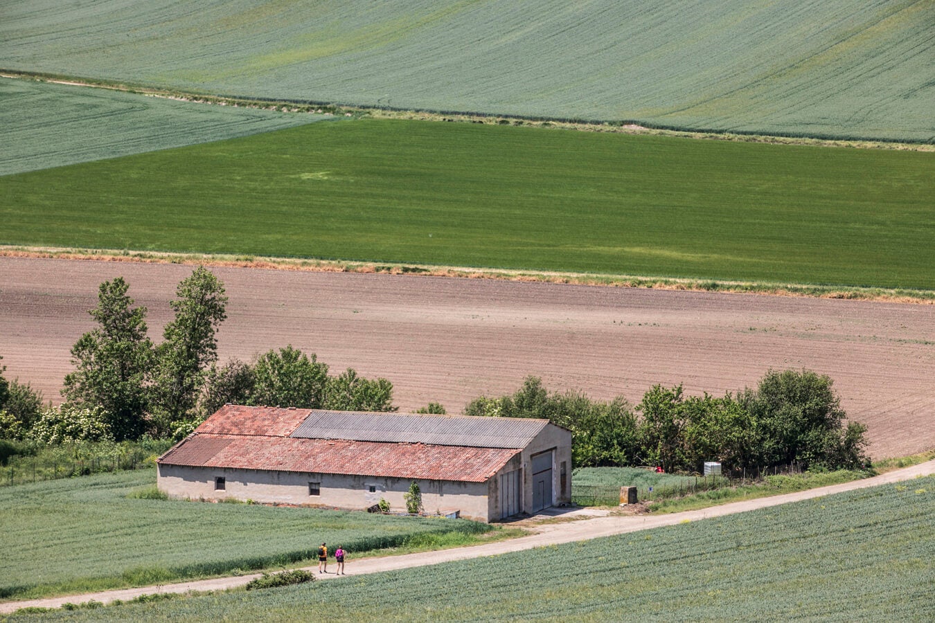 Fotos: Tercera etapa del Camino de Santiago: de Santo Domingo a Grañón