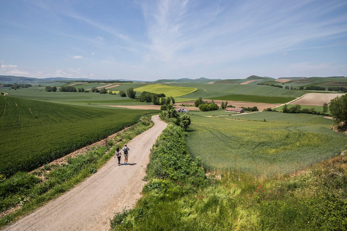 Fotos: Tercera etapa del Camino de Santiago: de Santo Domingo a Grañón