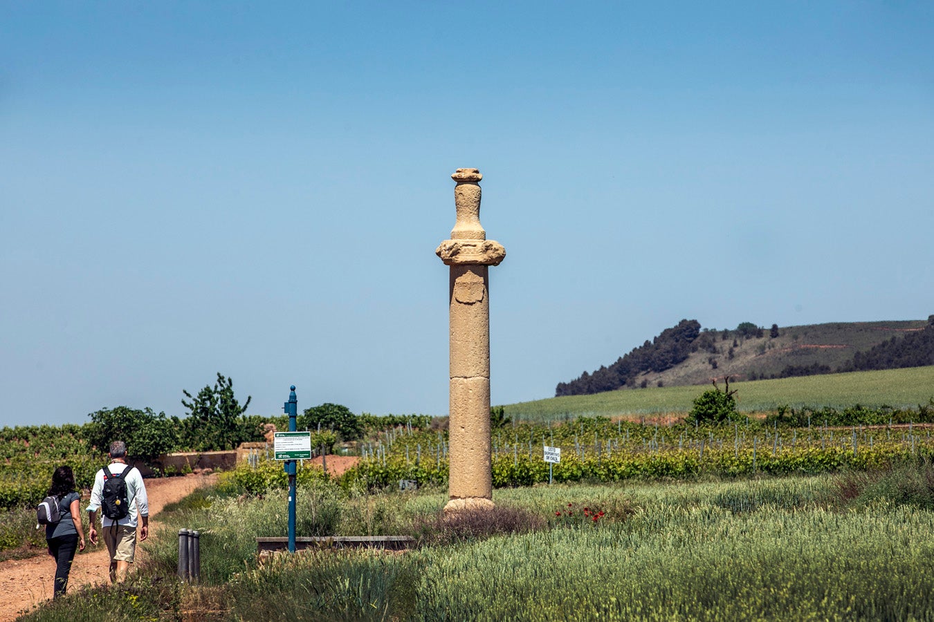 Fotos: Segunda etapa del Camino de Santiago: almazuela de olores y de colores