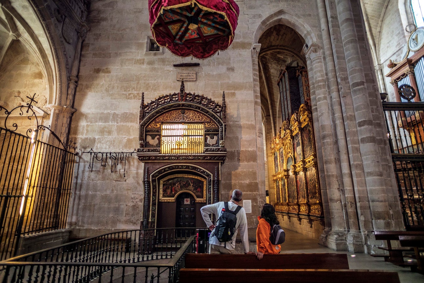 Fotos: Segunda etapa del Camino de Santiago: almazuela de olores y de colores