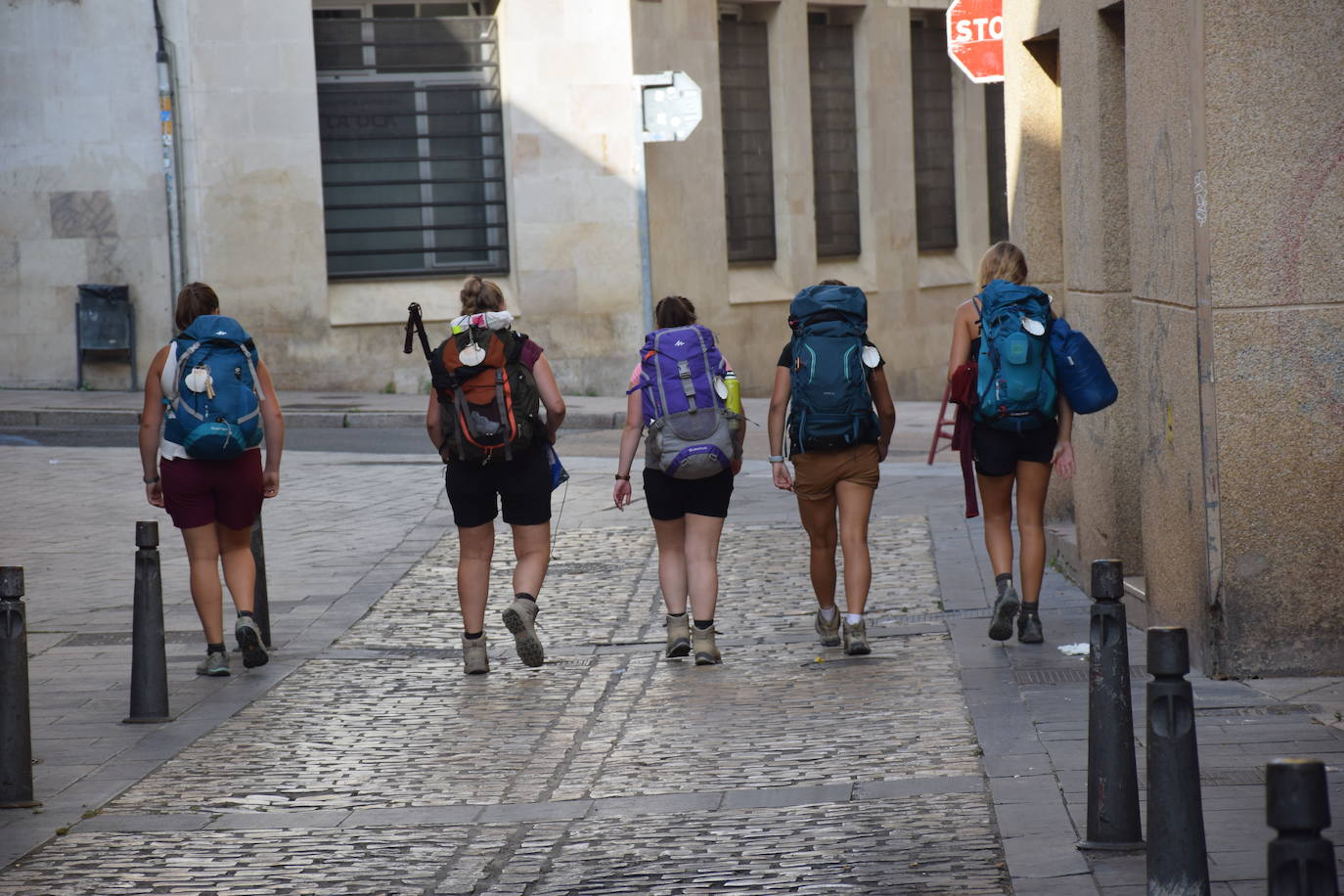 Fotos: El Camino de Santiago, sin salir de Logroño