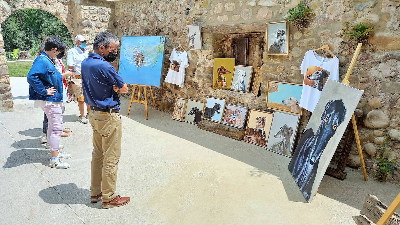 Fotos: Jornadas del Noble Galgo Cervantino