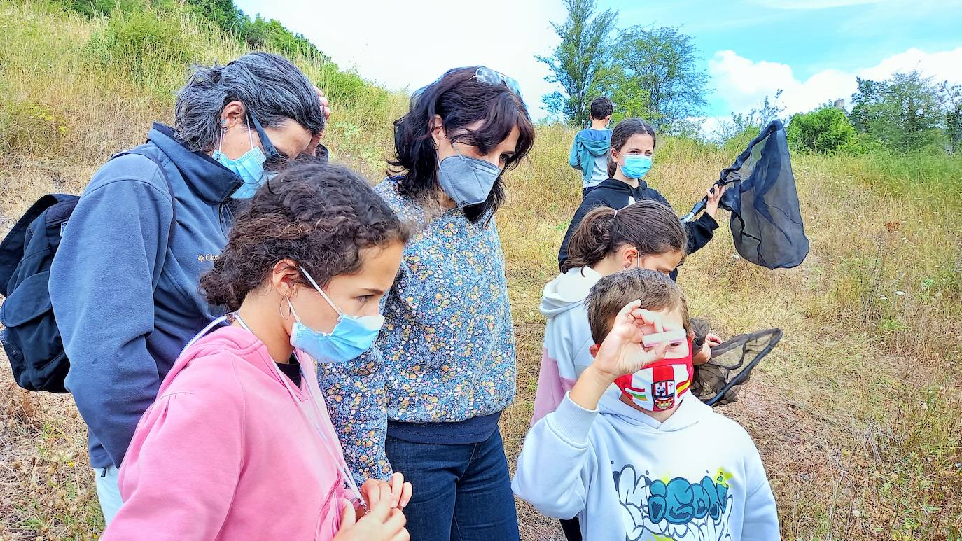 La Asociación Benéfico Cultural de Nieva de Cameros y la Asociación por el Medio Ambiente Rural en La Rioja han celebrado dos jornadas con el título 'Conociendo las mariposas'. Primero se celebró una en la aldea Montemediano, donde se lograron identificar fácilmente diecinueve especies el pasado 18 de julio, y después, el domingo 1 de agosto, se catalogaron una veintena de mariposas en Nieva, algunas tan singulares como la tigre.